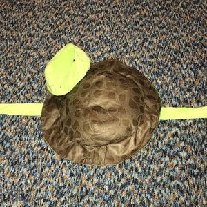 Turtle costume for a dog